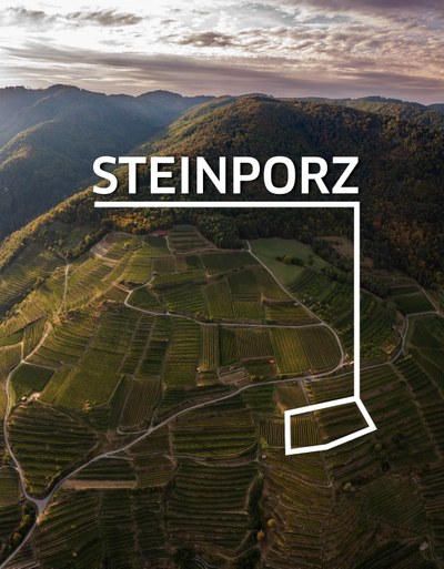 Steinporz_1.jpg